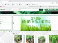 Full code website bán cây cảnh bằng Opencart Code đồ án
